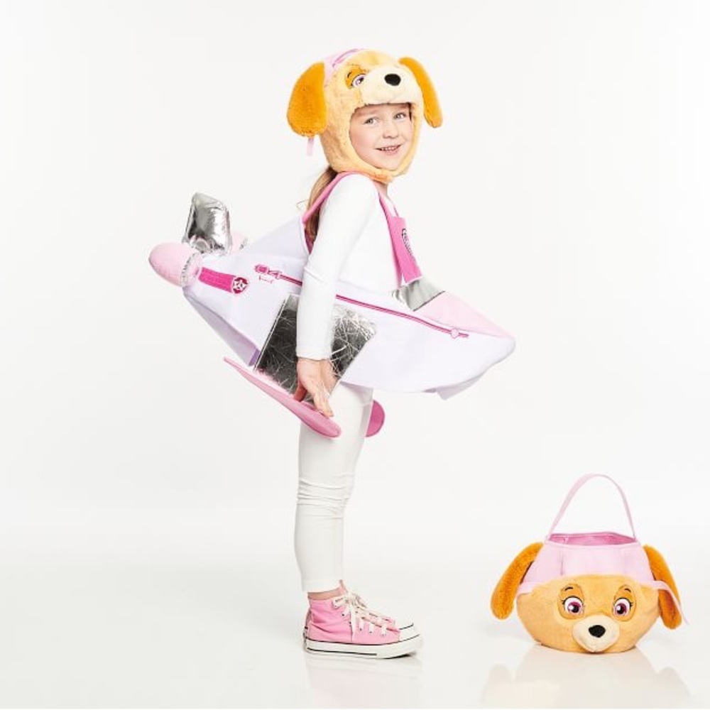 Skye Paw Patrol Pottery Barn Kids Halloween Costume Girls NWOT size 4y to 6y